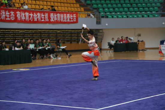 什么是武术套路运动 U593P954T21D16683F312DT20180726090147.png